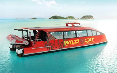 Wildcat Day Tours Coming