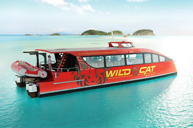 Wildcat Day Tours Coming